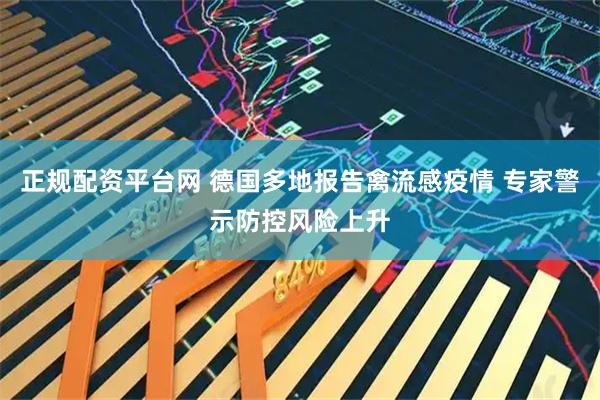 正规配资平台网 德国多地报告禽流感疫情 专家警示防控风险上升
