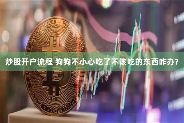 炒股开户流程 狗狗不小心吃了不该吃的东西咋办?