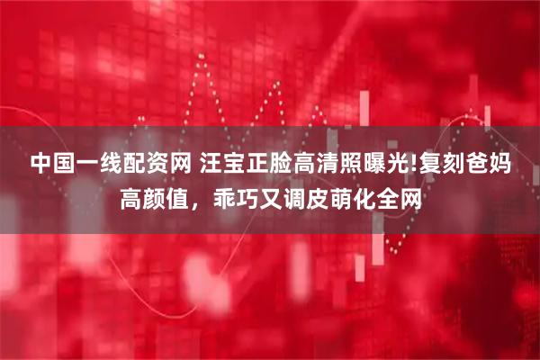 中国一线配资网 汪宝正脸高清照曝光!复刻爸妈高颜值，乖巧又调皮萌化全网
